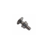 Stainless Steel Bolt with Square Neck DIN603 M10 M12 Carriage Bolt